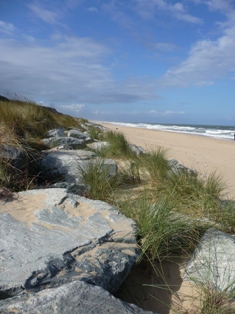 Caister