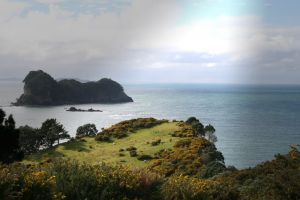 Sea View Holidays